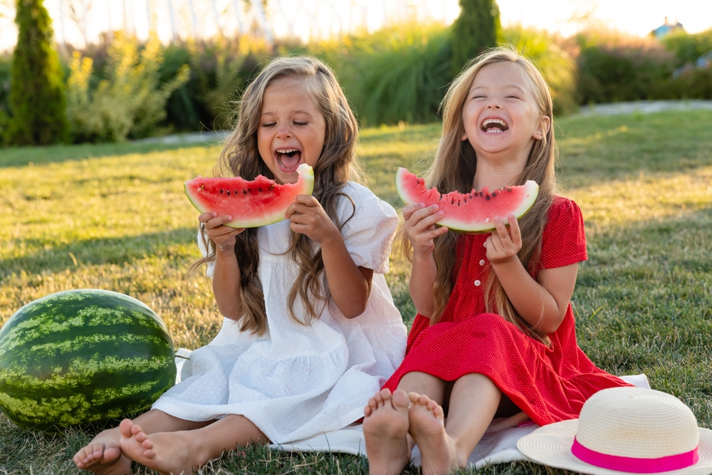 Juicy watermelon the perfect summer fruit
